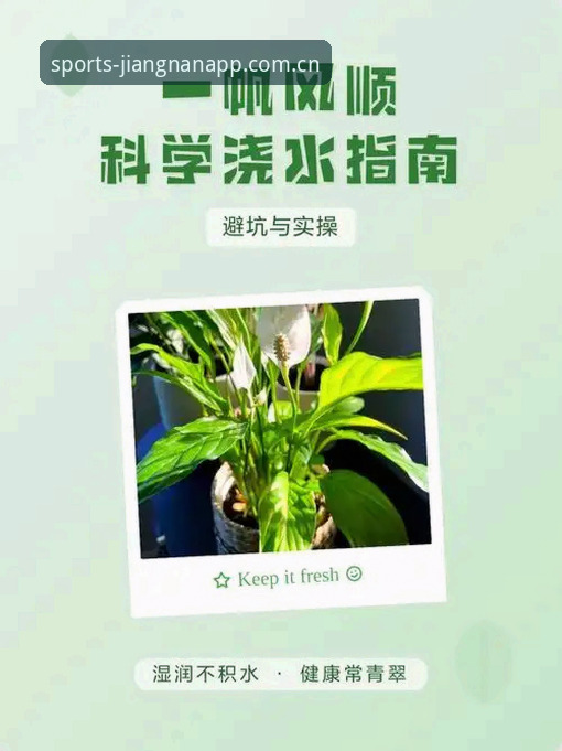 深度揭秘江南体育APP下载全流程：新手必看的避坑指南与实操技巧